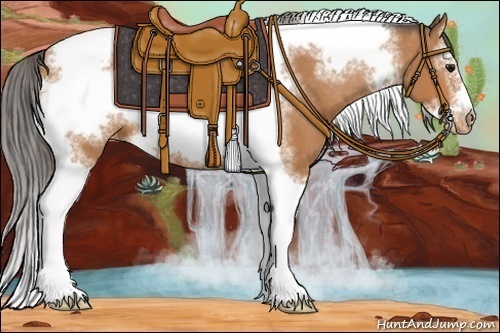 Horse Color:Bay Sabino Splash Tobiano Frame Appaloosa 