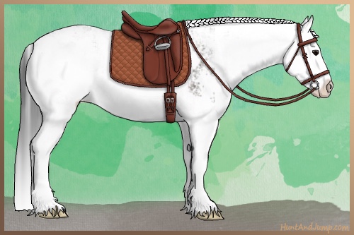 Horse Color:Grullo Sabino Splash 