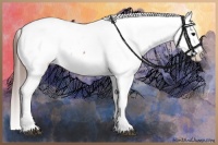 Horse Color:Brown Appaloosa