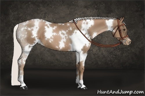 Horse Color:White Spotted Silver Black Pearl 