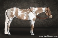 Horse Color:White Spotted Silver Black Pearl
