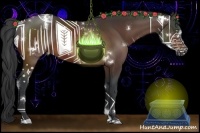 Horse Color:White Spotted Bay 