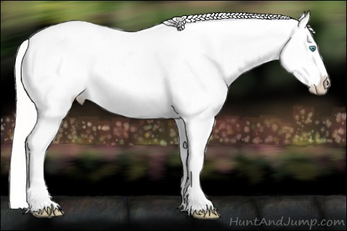 Horse Color:Cremello Dun Varnish
