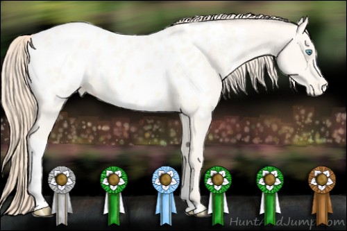 Horse Color:Perlino Roan Appaloosa 