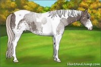Horse Color:White Spotted Silver Black Tobiano Snowflake Varnish 