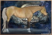 Horse Color:Silver Buckskin Rabicano