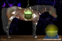 Horse Color:White Spotted Brown 