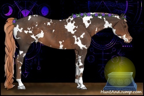 Horse Color:White Spotted Liver Chestnut Varnish