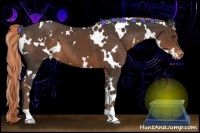 Horse Color:White Spotted Liver Chestnut Varnish 