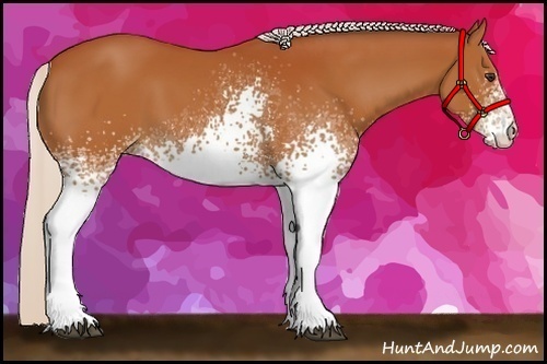 Horse Color:White Spotted Silver Bay 