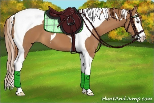 Horse Color:Chestnut Splash Tobiano 