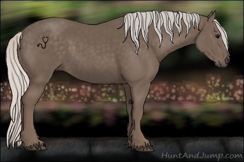 Horse Color:Silver Black 