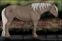 Horse Color:Silver Black 