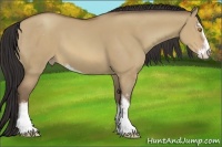 Horse Color:Sable Champagne Dun Sabino 