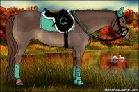 Horse Color:Liver Chestnut Sabino 