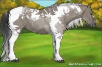 Horse Color:Smoky Grullo Tobiano 