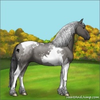 Horse Color:Grullo Tobiano