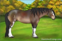 Horse Color:White Spotted Brown Sabino