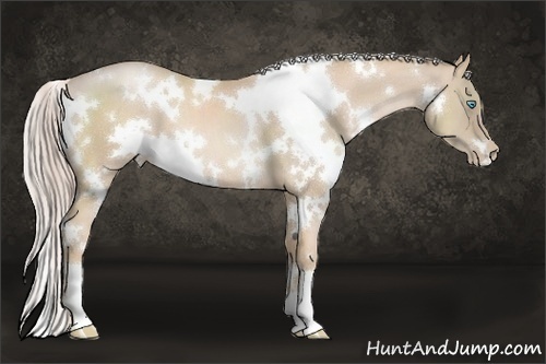 Horse Color:White Spotted Palomino Pearl 
