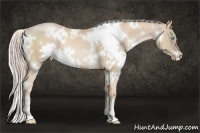 Horse Color:White Spotted Palomino Pearl 