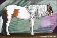 Horse Color:Bay Tobiano Frame Varnish