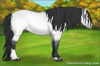 Horse Color:Brown Chinchilla Dun Sabino 