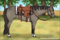 Horse Color:Smoky Grullo
