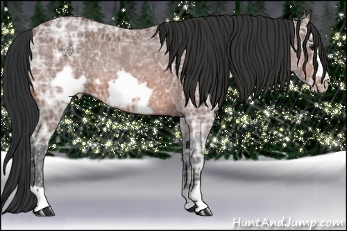 Horse Color:Brown Ice Roan Frame 