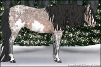 Horse Color:Brown Ice Roan Frame 