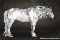 Horse Color:White Spotted Silver Bay Chinchilla Ice Onyx 