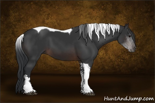 Horse Color:Brown Sabino Tobiano 