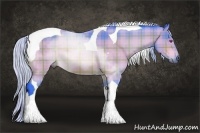 Horse Color:Watercolor Plaid Silver Brown Chinchilla Sabino Tobiano