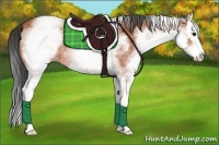 Horse Color:White Spotted Bay Splash 