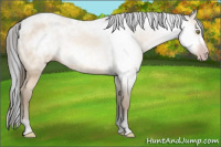 Horse Color:Gray Amber Champagne 