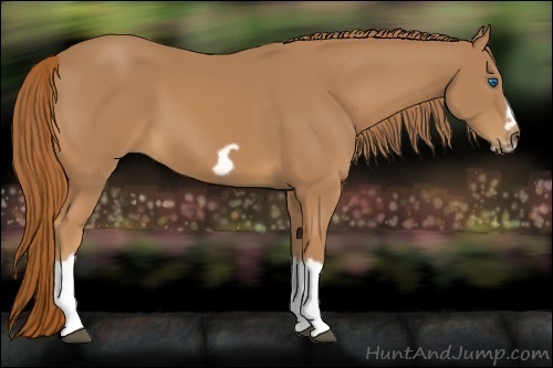 Horse Color:Chestnut Splash Frame 