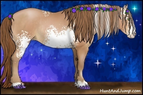 Horse Color:White Spotted Bay Pearl Rabicano 