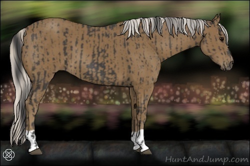 Horse Color:Smoky Black and Silver Smoky Black