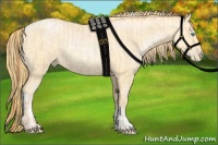 Horse Color:Buckskin Roan Pearl and Buckskin Pearl Tobiano