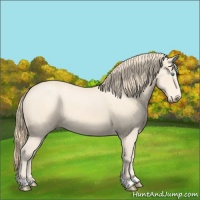 Horse Color:Perlino and Perlino