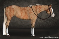 Horse Color:Bay Splash  and Chestnut Splash 