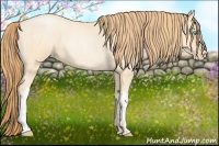 Horse Color:Buckskin Roan Pearl and Buckskin Roan Pearl