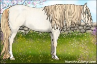 Horse Color:Buckskin Roan Pearl Dun  and Buckskin Roan Pearl Dun 