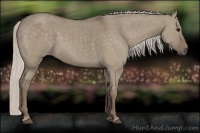Horse Color:Silver Grullo  and Silver Grullo 