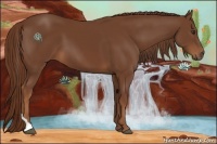 Horse Color:Chestnut Tobiano