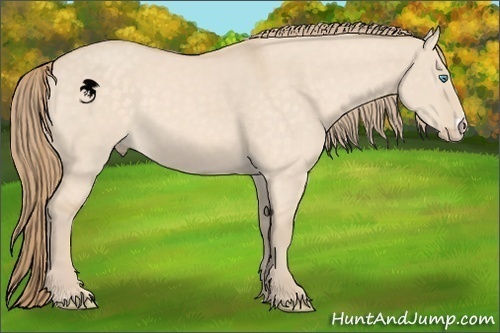 Horse Color:Perlino Dun 