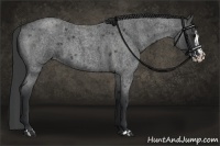 Horse Color:Blue Roan and Blue Roan Splash