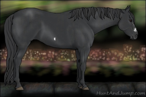 Horse Color:Black  and Black Frame 