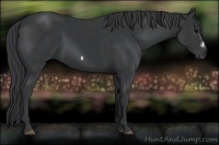 Horse Color:Black and Black Frame