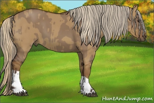 Horse Color:Liver Red Dun and Chocolate Palomino Dun