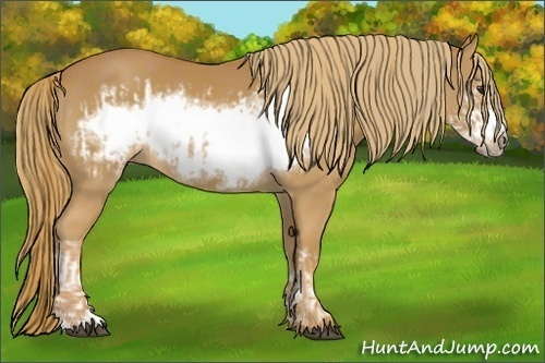 Horse Color:Chestnut Frame and Chestnut Frame
